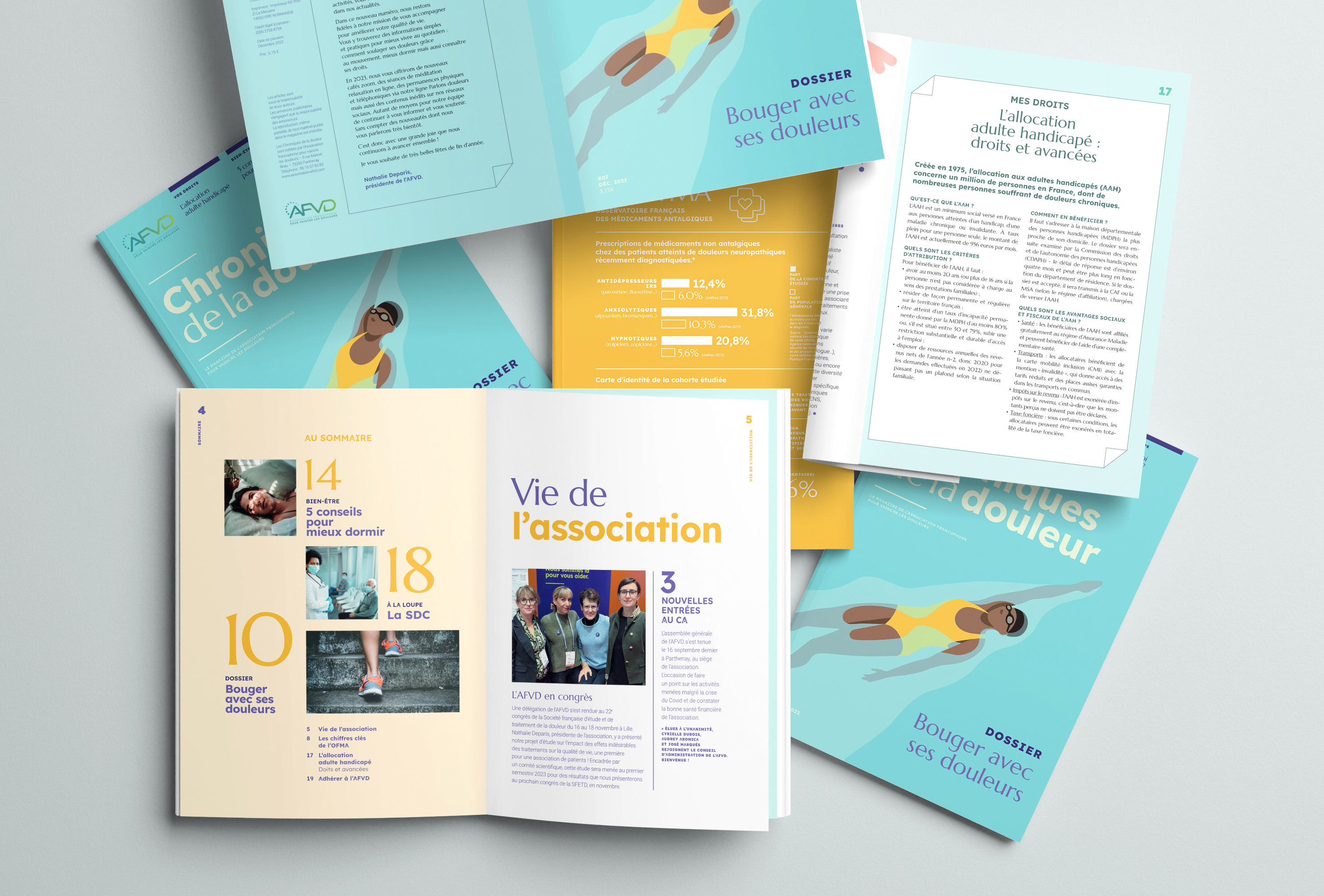 AFVD_mockup-revues