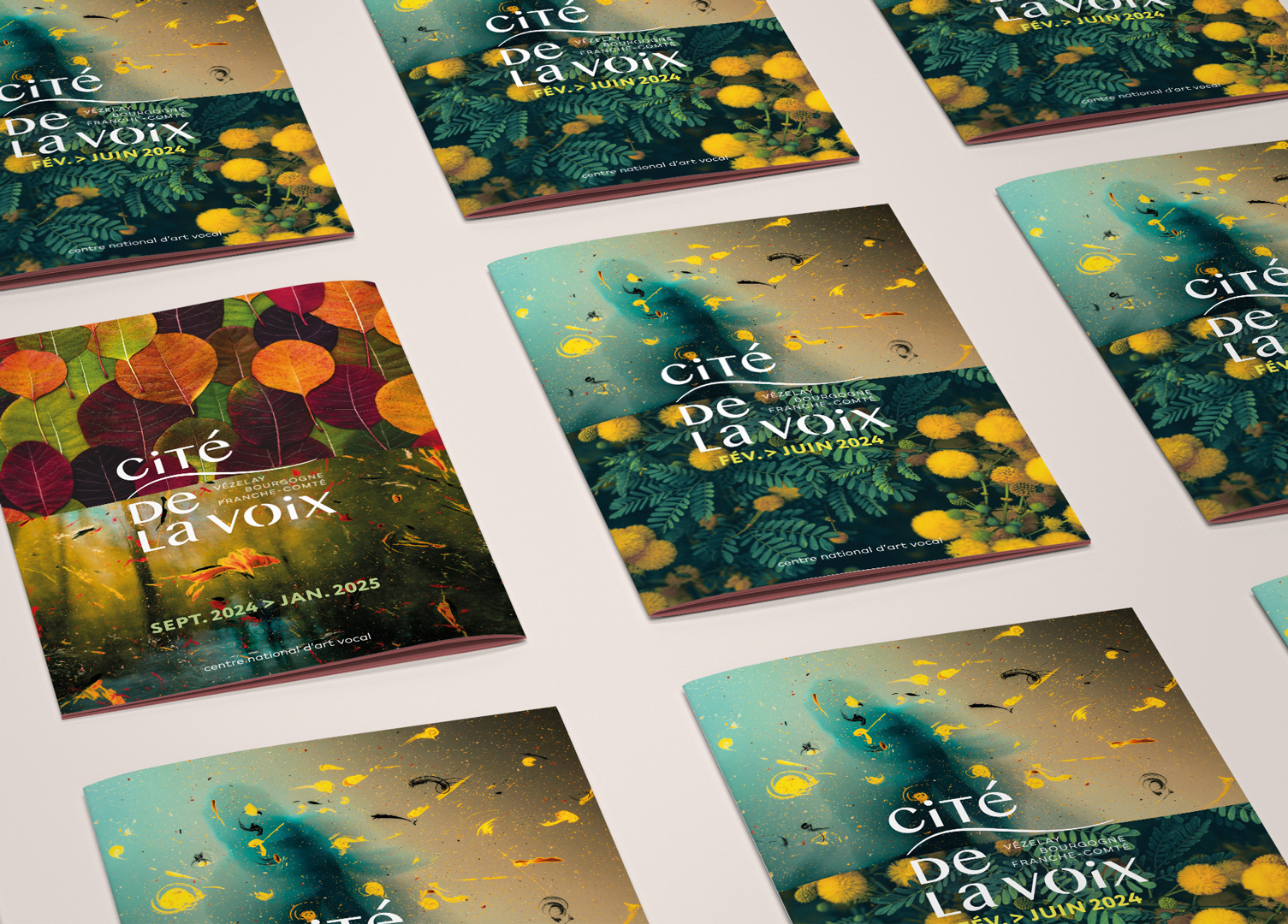 CDLV_mockup_cover